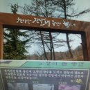 4월7일(금요일) 부천원미산 진달래 실버산행공지.^*^~~~ 이미지