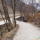 적보농장 Daum카페