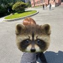 디엠빅 | 빅나티의 삶