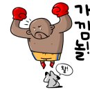 다이나복싱체육관 이미지