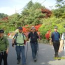 준영이네농장 이미지