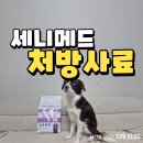 강아지 나라 | 강아지 프리미엄 동물병원 처방 사료 세니메드 급여후기