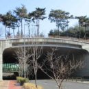 안전용역 네이버블로그