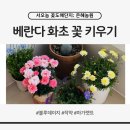 은혜농원 | 아파트 베란다 식물 키우기, 서오능 꽃도매단지 은혜농원에서 화초 꽃 사온 후기