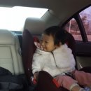 정현농장 이미지