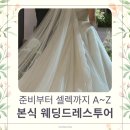 우방48세탁샵 | 웨딩드레스 투어 A~Z 완벽가이드｜인생드레스 찾는 준비물·체크리스트·전략 총정리
