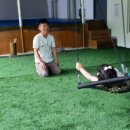 낙서초교병설유치원 이미지