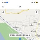 황산애견 이미지
