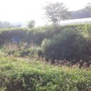 장수천공원 이미지