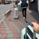 🇯🇵 일본 교토&amp;오사카 : 교토역 3인 호텔 The M&#39;s Hotel / 슈페리어 퀸룸 엑스트라베드 #내돈후기