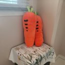 축령산 코지인 이미지