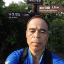 대구 상인동-대덕산-앞산-산성산-용두산토성-고산골 이미지