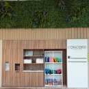 콩코드 피트니스클럽 | 수원: 콩코드피트니스클럽수원/수원스타필드/자유수영 /원정수영 일일권 3시간 이용