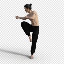 우슈태극권 신룡무관 | 소림사 강호영패 광동십호 소걸아 팩트 체크