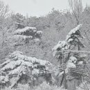 유인농장 이미지