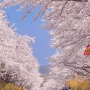 달곡(버스정류장) 네이버블로그