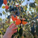 청오농장 이미지