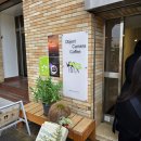 상향 | 제주 공항 근처 인테리어와 디저트가 이쁜 카페 상향 평준화 후기