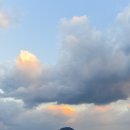 사랑의유람선 이미지