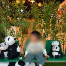 장  계 | 평택 안성 판다 좋아하는 아기랑 실내 스타필드 글로우사파리(할인, 소요시간, 모래놀이)