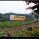 팔봉산 감자축제 이미지