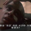 파니핑크