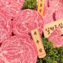 유림-1092 이미지