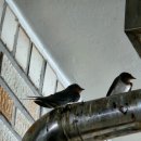 정 담은 집 이미지