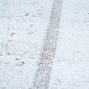 날마다 소풍 이미지