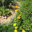 반송경로당 이미지