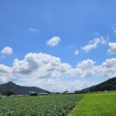 용성게이트볼장 이미지