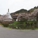 산 자체보다는 품고 있는 대원사가 더 유명한, 천봉산(‘21.4.1) 이미지