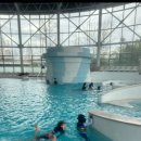 마린스타스위밍 | 마린스타스위밍 유아 수영 1년 반 후 달라진 점 / 전후 비교 / 좋았던 점