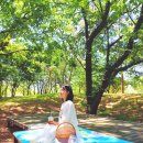 하천섬(주차장) 이미지