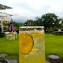 봉그레 | 제주 한라산뷰 카페 "봉그레" 갔다온 후기