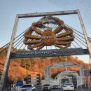[울산출발] 10월17일(토)~18일(일) 울진 백암온천 + 동해안 홍게 맛기행 1박2일 이미지