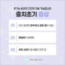 상아치과재료 네이버블로그