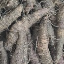 감로농장 이미지