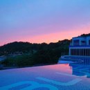 블루아라 이미지