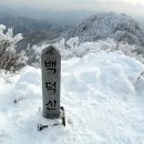 [블랙야크100대명산 2025년 1월 18일 토요일] 횡성*백덕산 설경 눈꽃산행 안내 이미지