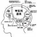 표현상사 이미지