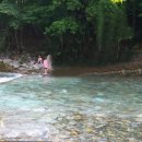 별빛사냥 이미지