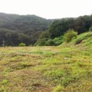 숲속 짱구네 이미지