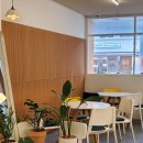 트리니코스 | 대전 리본패스츄리 내돈내산 개인적인 후기 로로네베이커리