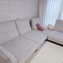 동림 | 패브릭소파청소 관리 동림 습식청소기 후기, 침대 프레임 얼룩 제거 팁