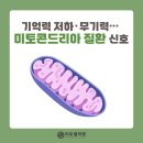 미토의원 네이버블로그