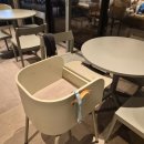 갈매순환로 | [구리] 반려동물 동반 가능한 스타벅스 구리 갈매DT점 방문 후기