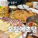오월에초당 : 강릉 경포대 오징어보쌈 오징어파전 현지인 추천 로컬 맛집 내돈내산 후기