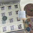 충북떡집 | 육아-[후기] 제천 ‘모락모락떡집’ 백일상 떡 후기(내돈내산)