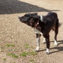 고시농장 이미지